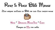 Mini Tombstone Website dedicated to Bibie my little wonder mouse (mspaint/trellix)