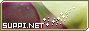 link button
