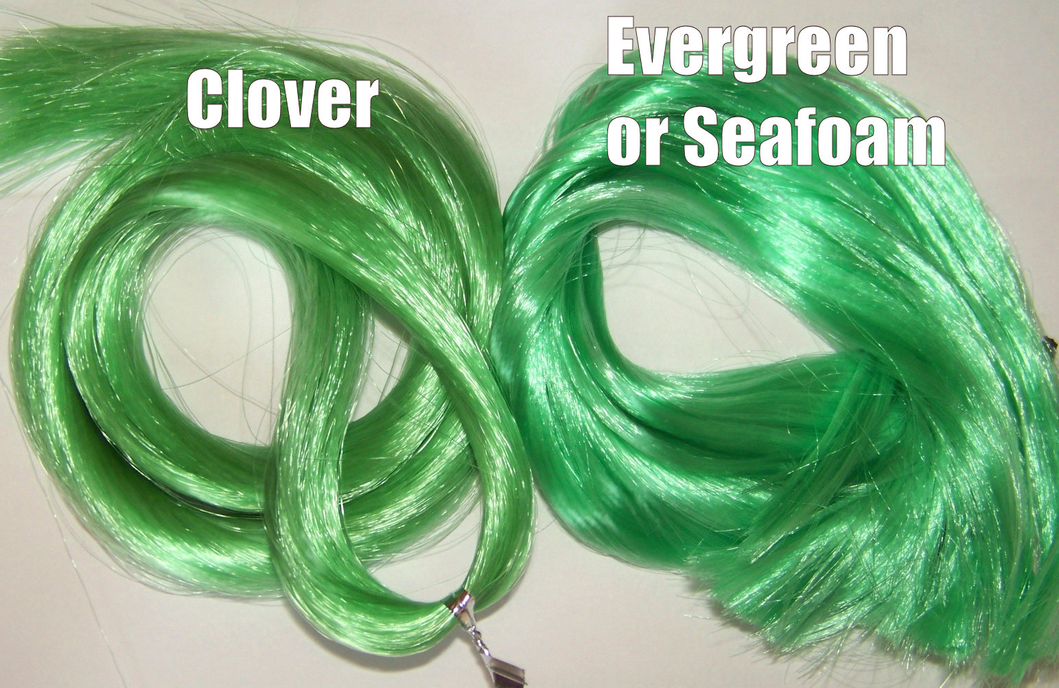  photo clover vs evergreen.jpg